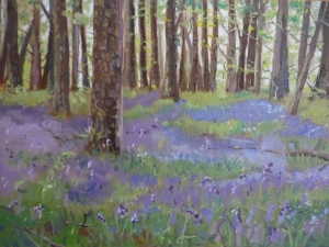 Bluebell Wood I (oil on board)