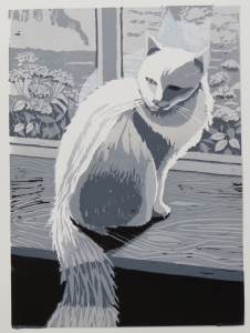 Contre-jour Cat